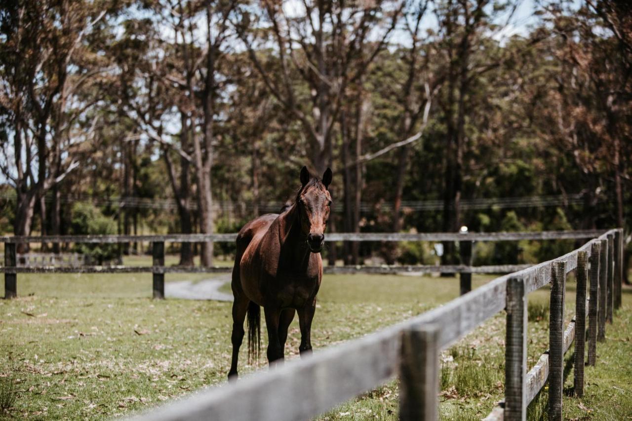 Worrowing Jervis Bay Ξενοδοχείο Huskisson Εξωτερικό φωτογραφία