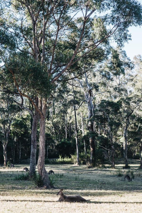 Worrowing Jervis Bay Ξενοδοχείο Huskisson Εξωτερικό φωτογραφία
